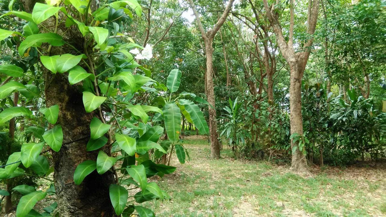 Hotel Dugong Koh Sukorn Ko Sukon Zewnętrze zdjęcie