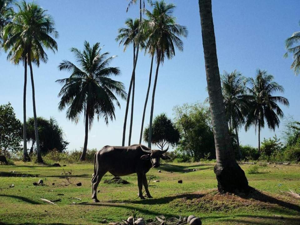 Hotel Dugong Koh Sukorn Ko Sukon Zewnętrze zdjęcie